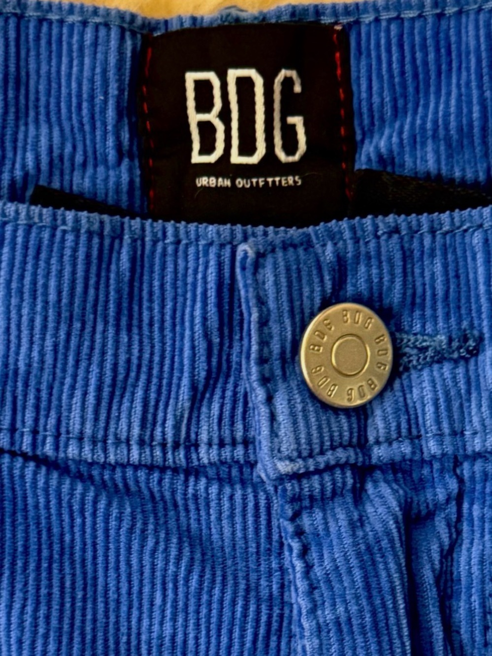 BDG Blue Corduroy Pants